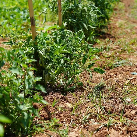 Konukevi Blue Boutique