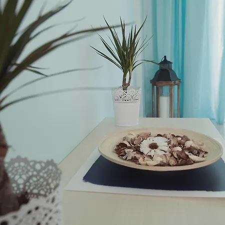 招待所 Blue Boutique 4*