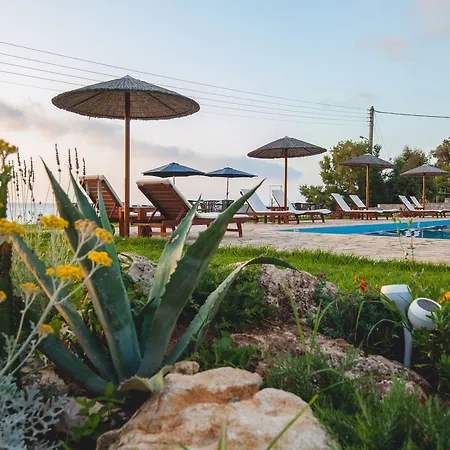 Blue Boutique 招待所